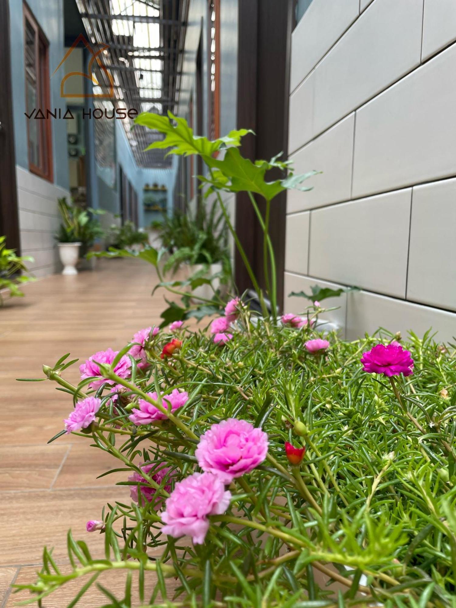 Vania House - Cozy Near The Airport * TP. Hồ Chí Minh