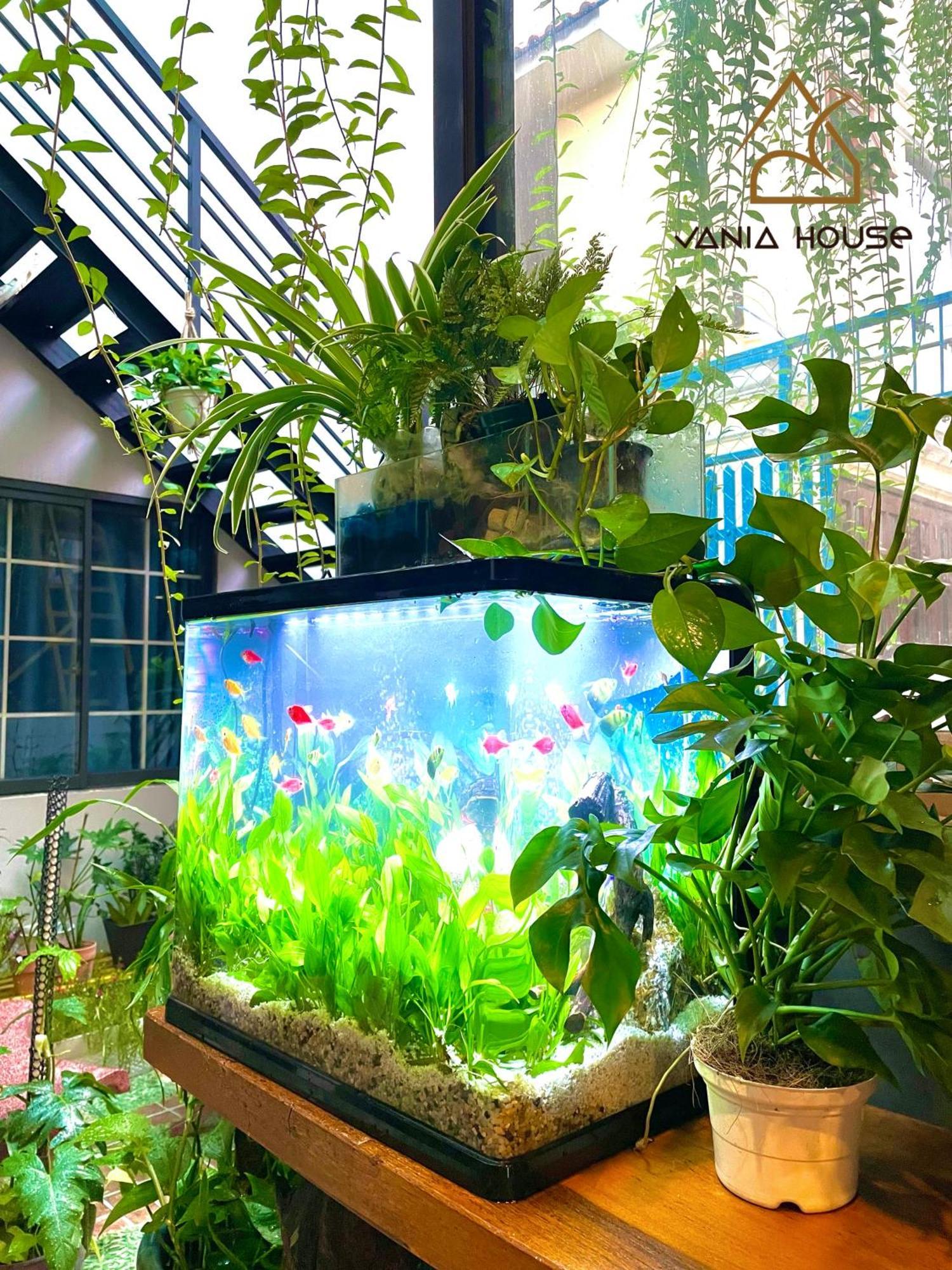 Căn hộ Vania House - Cozy Near The Airport